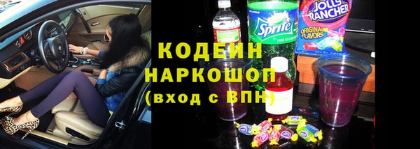 прущие грибы Аркадак
