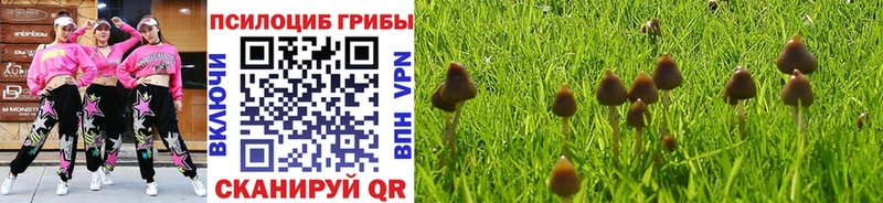 Галлюциногенные грибы GOLDEN TEACHER  купить   Кодинск 